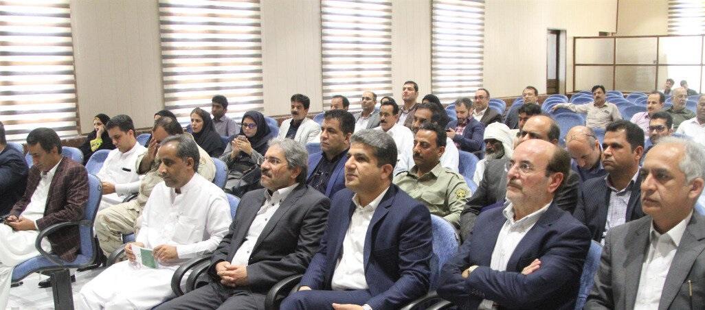 لاک پشت های دریایی چابهار در معرض خطر انقراض هستند