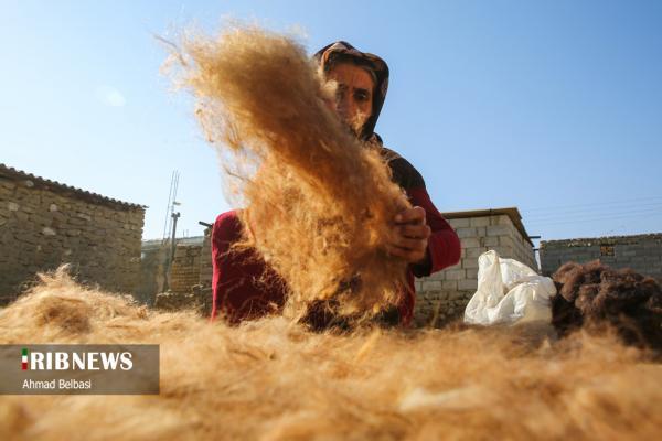 نمدمالی سنتی، هنر زنان مراوه تپه