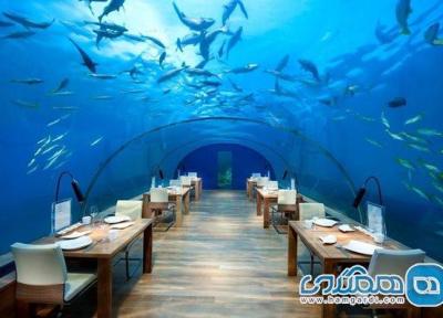 رستوران ایتا ، پذیرایی لوکس زیر آب