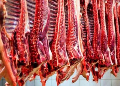 تکذیب واردات گوشت حیوان حرام گوشت به کشور