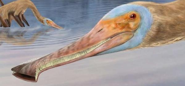 عکس ، موجود عجیب ماقبل تاریخ با 480 دندان! ، کشف فسیل نسبتا سالم یک پتروسور