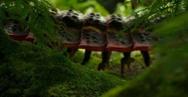 هزارپای غول پیکری که نزدیک به 3 متر طول دارد!، فیلم